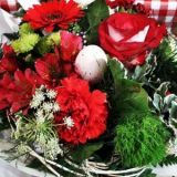 Fetepaques11300500